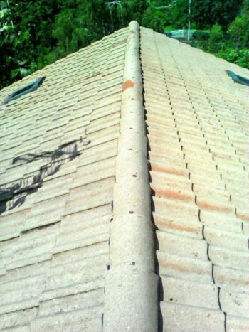 mondiale couleurs netoyage toiture aplication dun hydrofuge isolant contre le retoure de champignon et les intemperie Clermont Ferrand (auvergne)